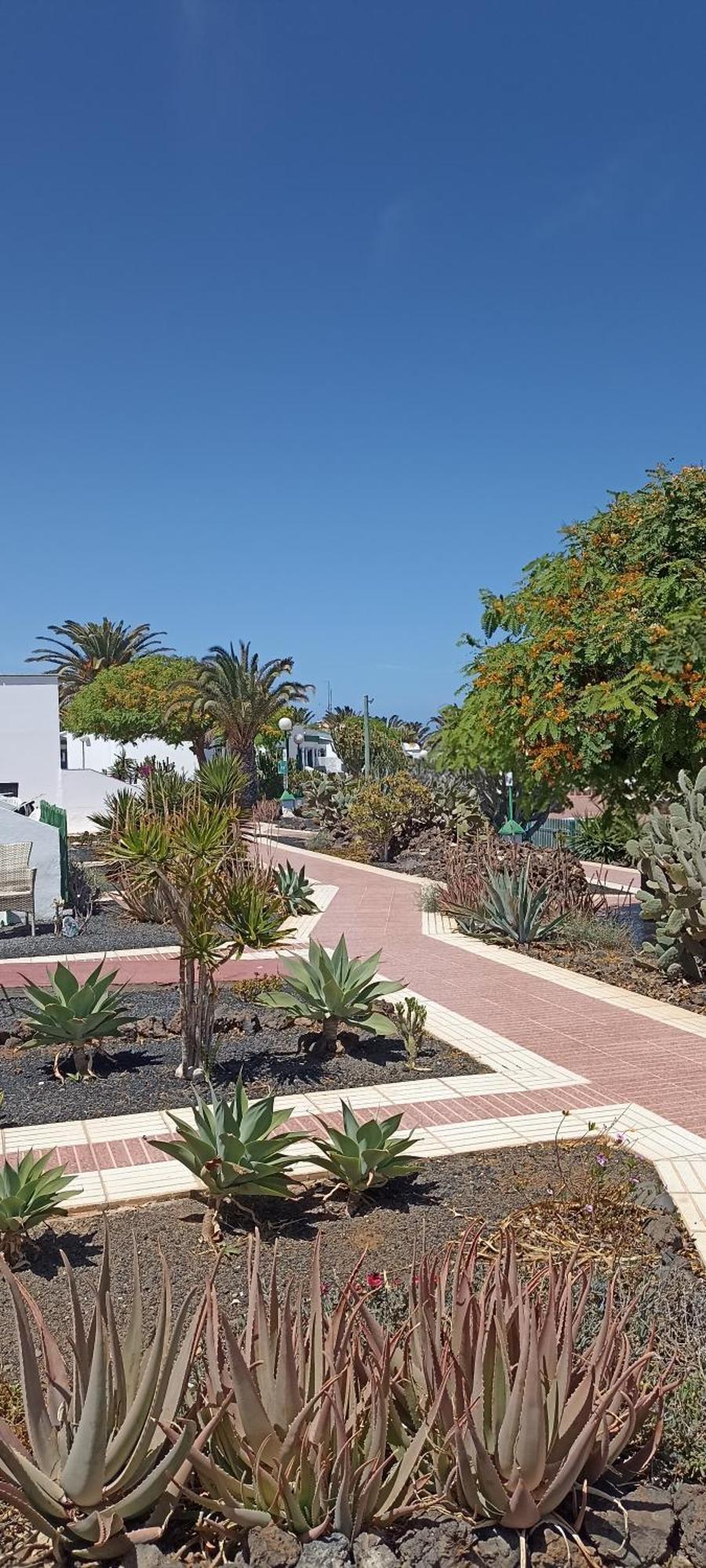 Casa Gioeli Cocosol Vila Costa De Antigua Exterior foto