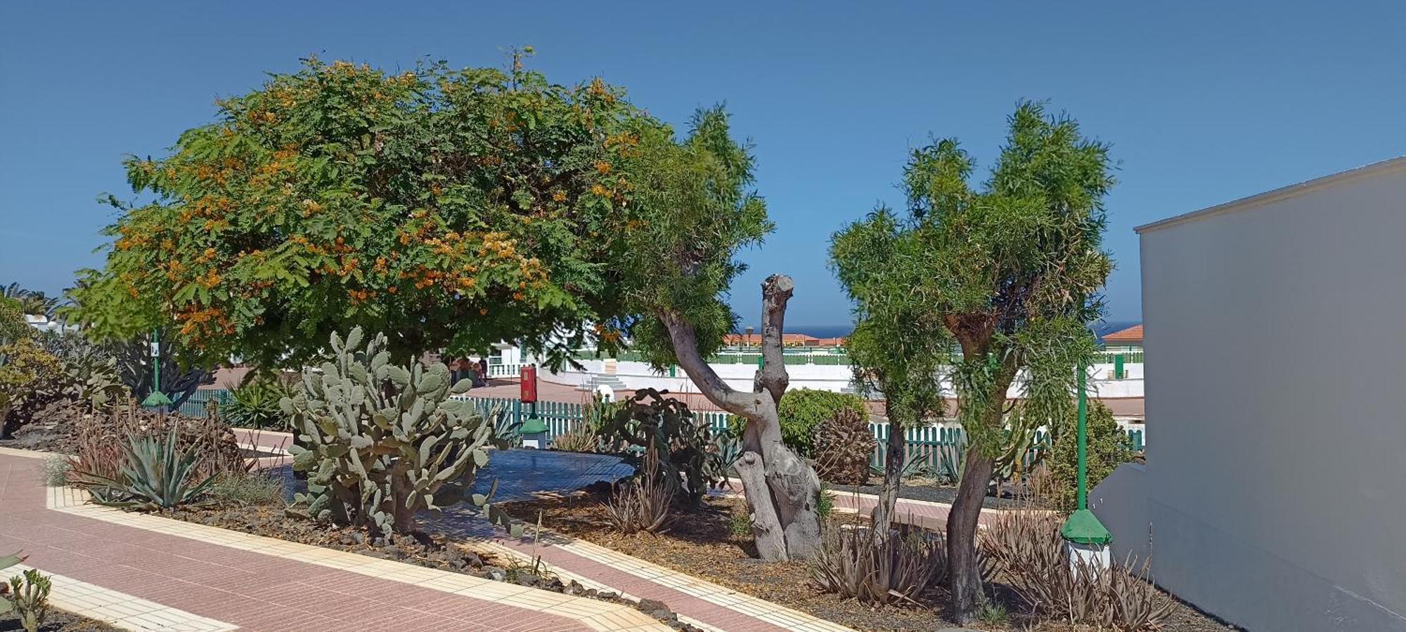 Casa Gioeli Cocosol Vila Costa De Antigua Exterior foto